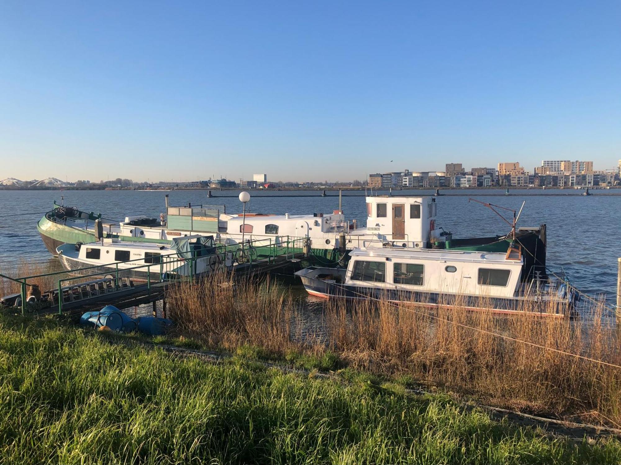 Floating B&B Amsterdam Bagian luar foto